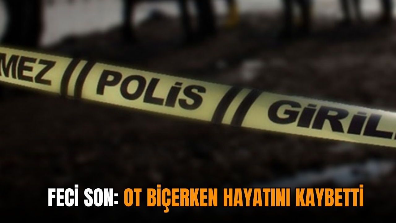 Feci son: Ot biçerken hayatını kaybetti