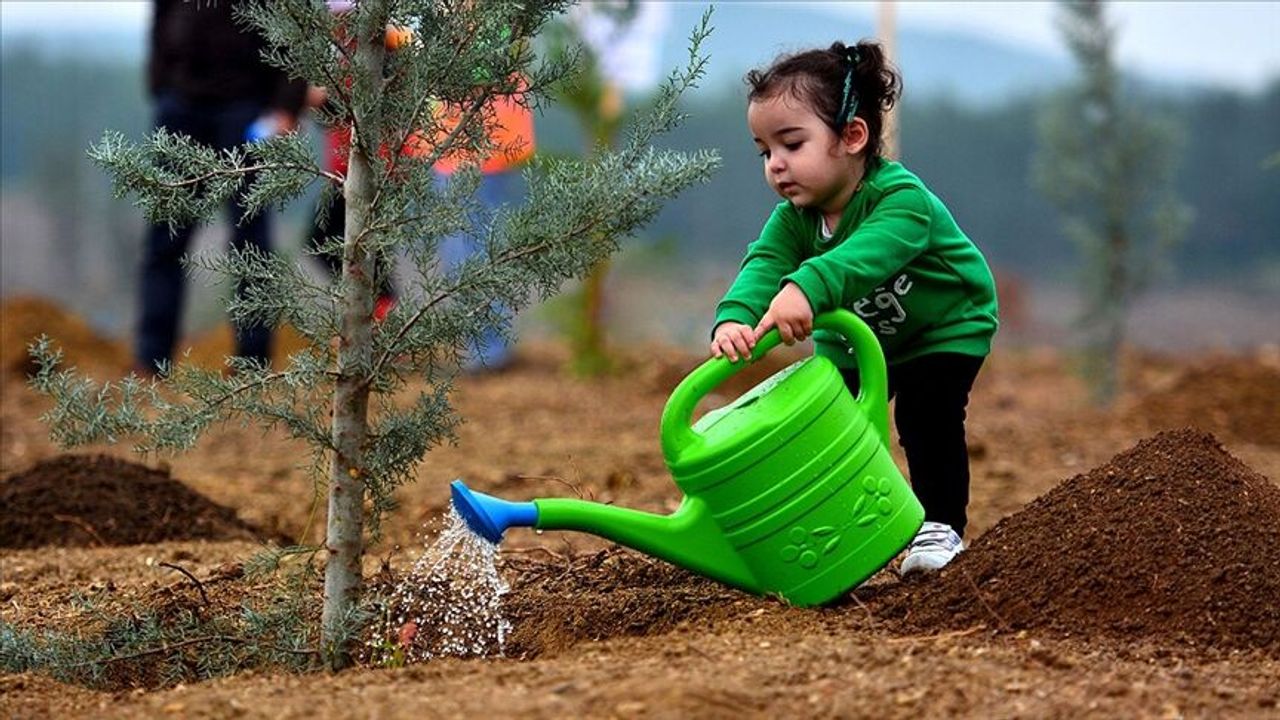 YHT biletleri fidan olacak! Her yolcu adına ağaç dikilecek