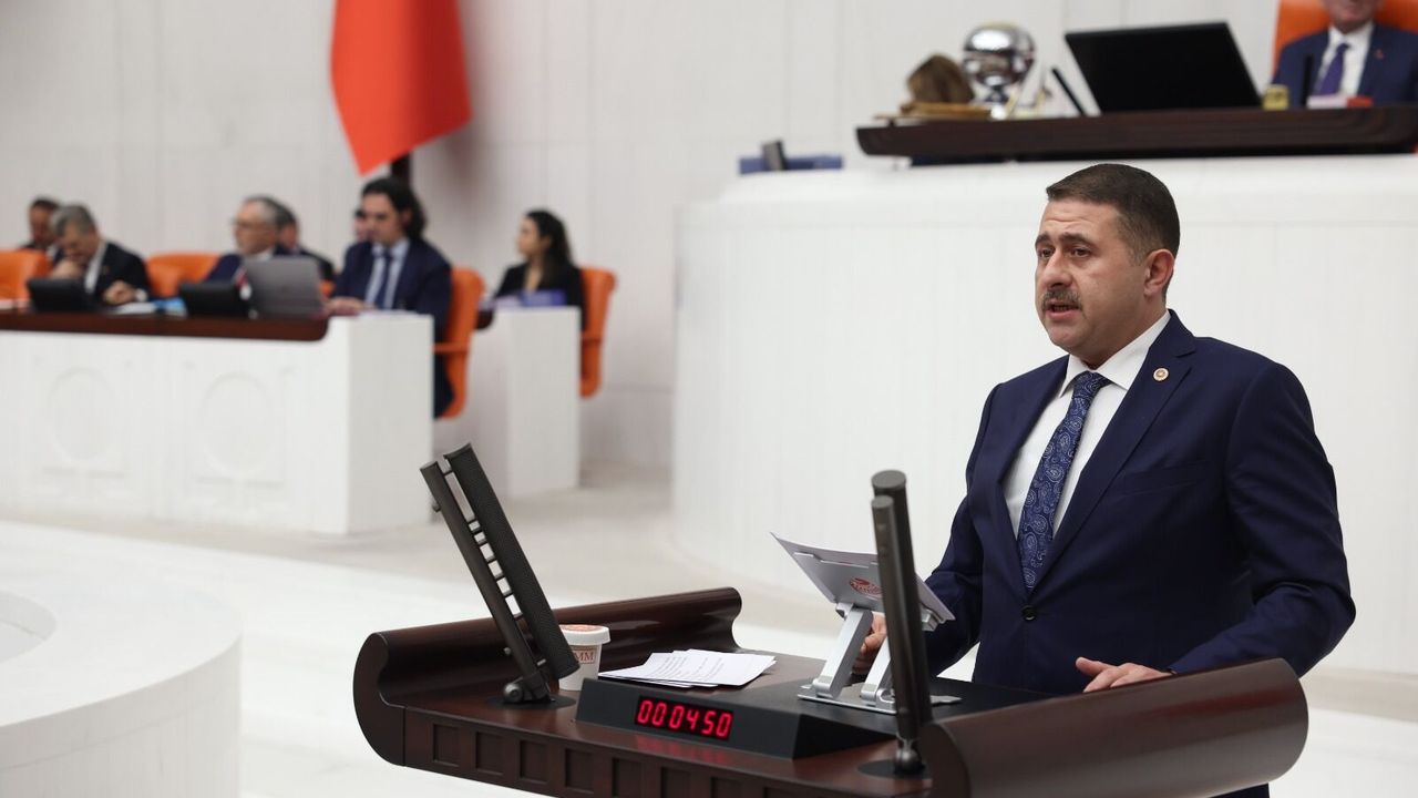 Milletvekili Sedef  TBMM'de Yozgat için talepte bulundu