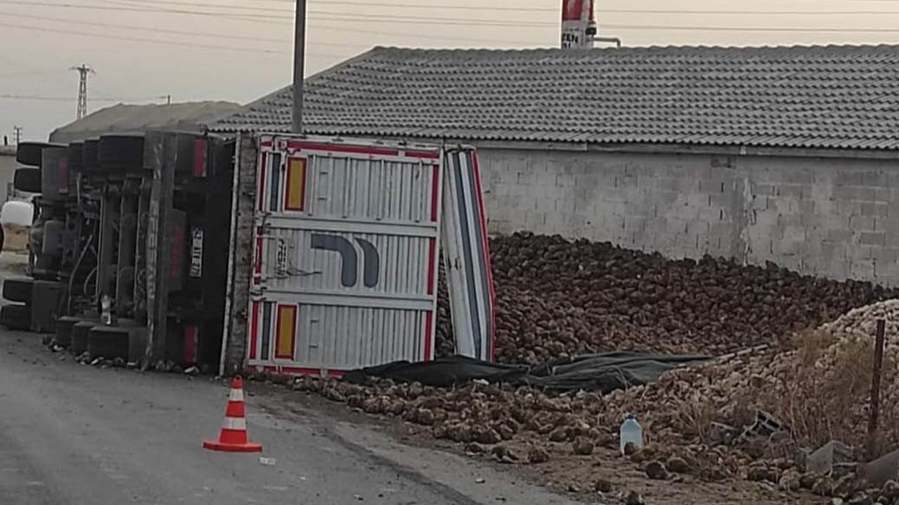 Pancar yüklü tır devrildi: 1 yaralı