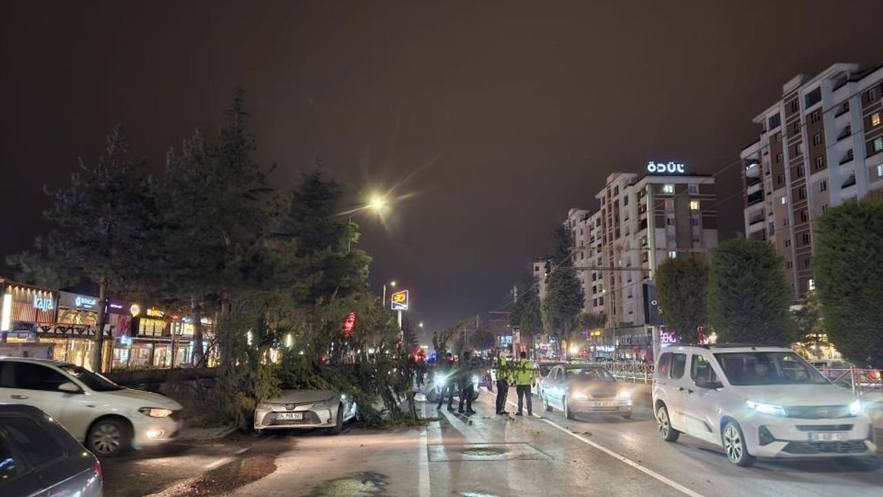 Kuvvetli rüzgar faciaya yol açtı: Ağaç otomobilin üzerine devrildi