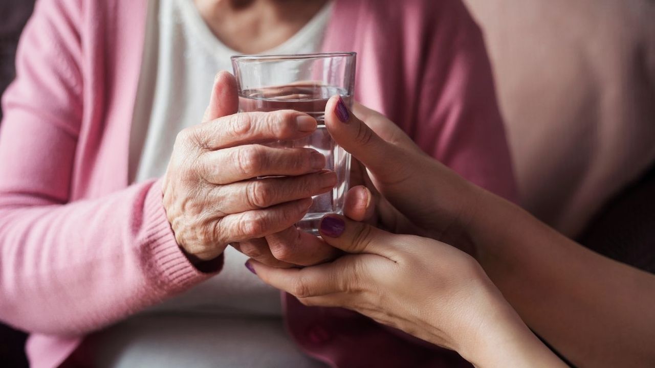 Resmi Gazete'de yayımlandı: Evde bakım yardımında yeni düzenleme
