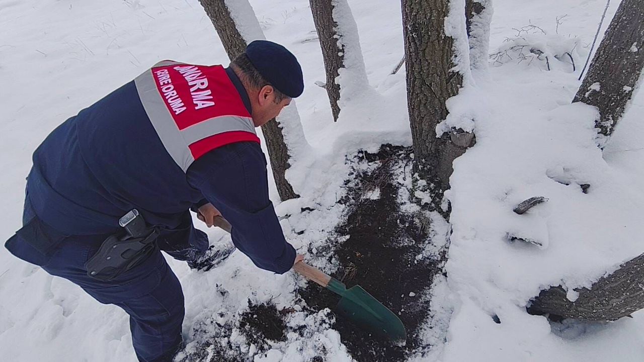 Çekerek’te doğa ve yaban hayatı denetimi yapıldı