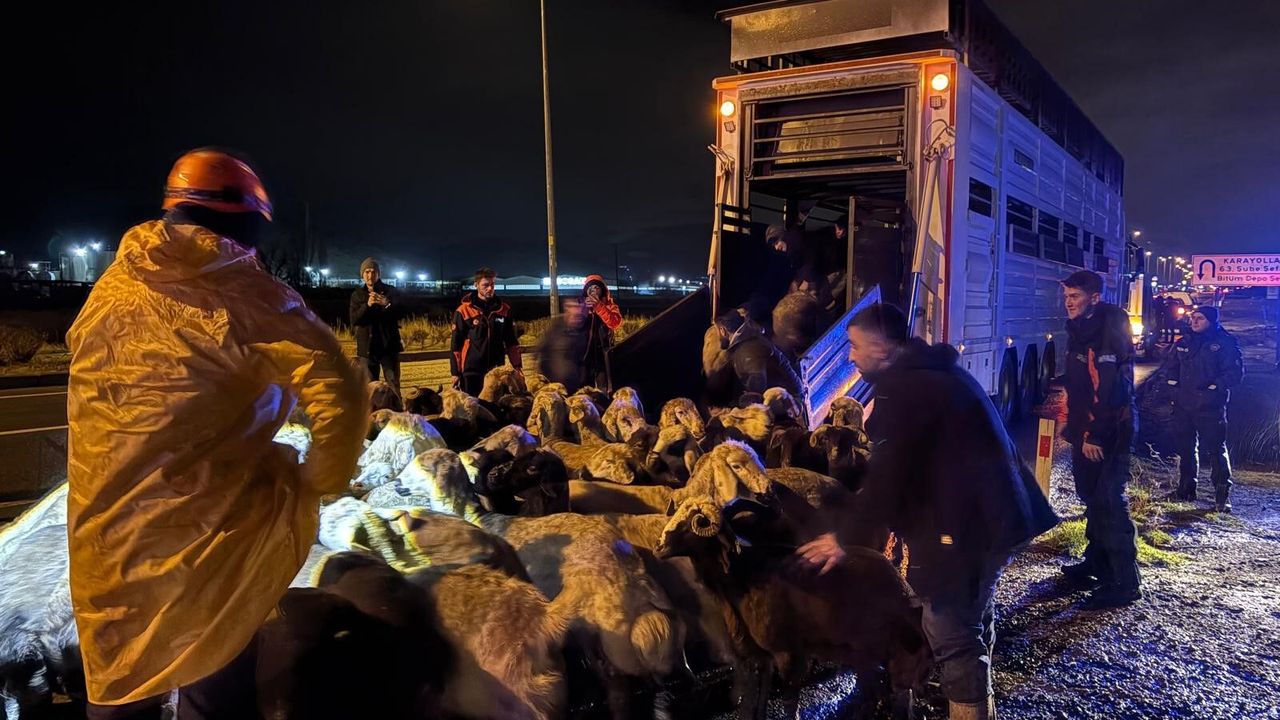 Sağanak sonrası taşkın alarmı: 200 hayvan tahliye edildi