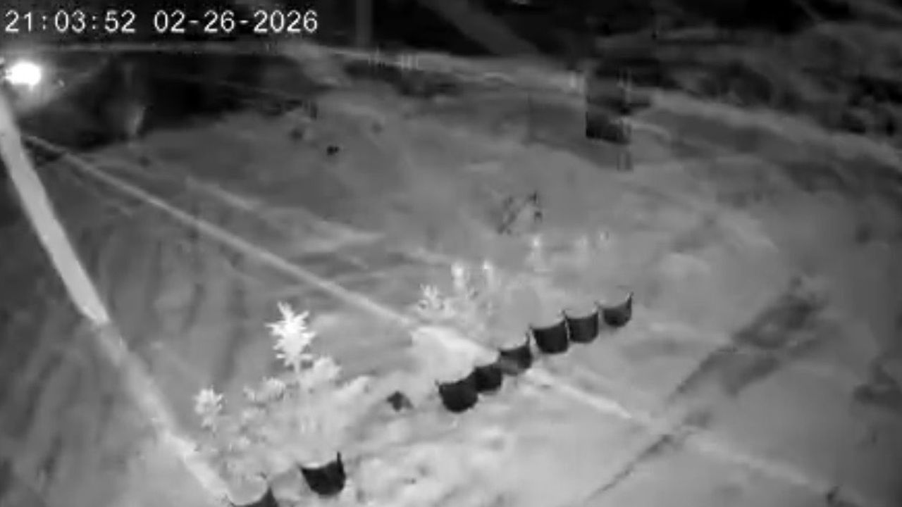 Çankırı’da kar yağışı etkisini artırdı