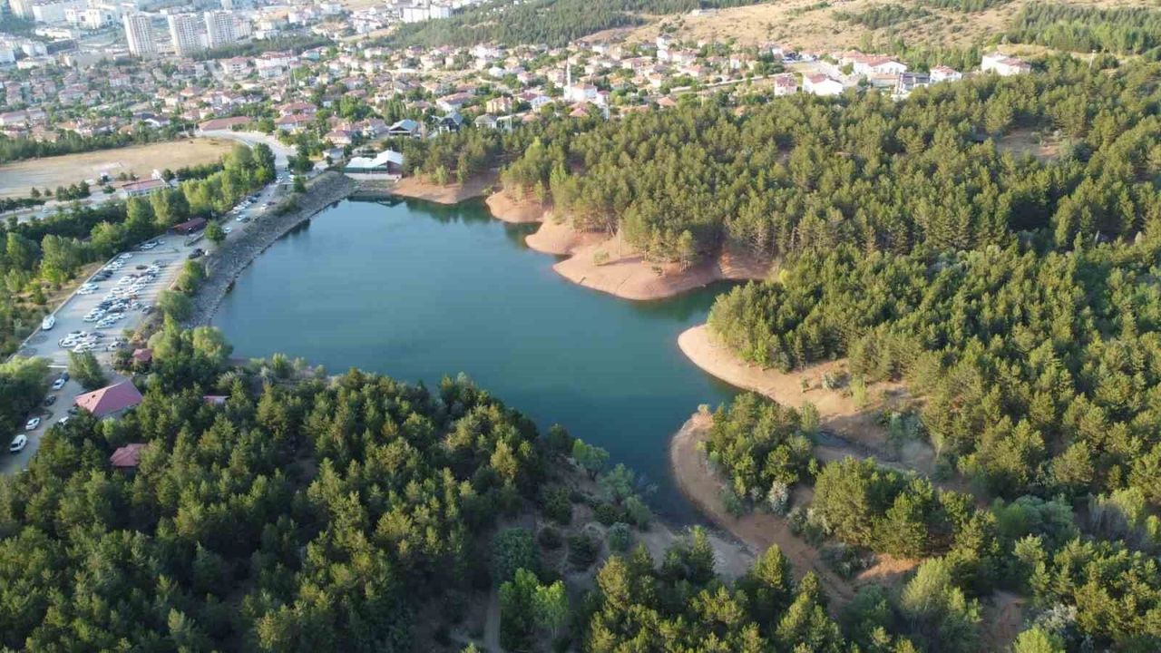 21 ilde bazı alanlar orman sınırları dışına çıkarıldı
