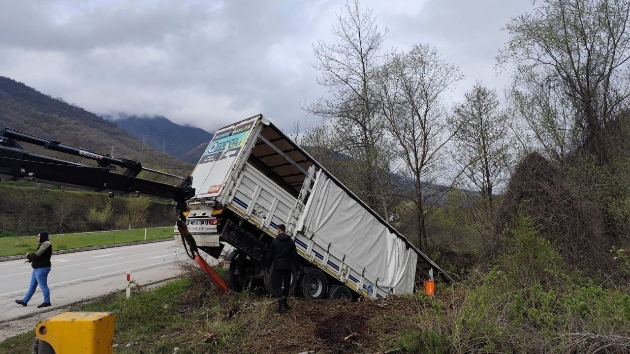 Acı kaza! Tır devrildi, hayvanlar telef oldu