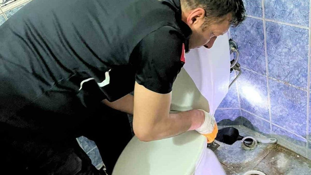 Klozete düşen yavru kediyi itfaiye kurtardı
