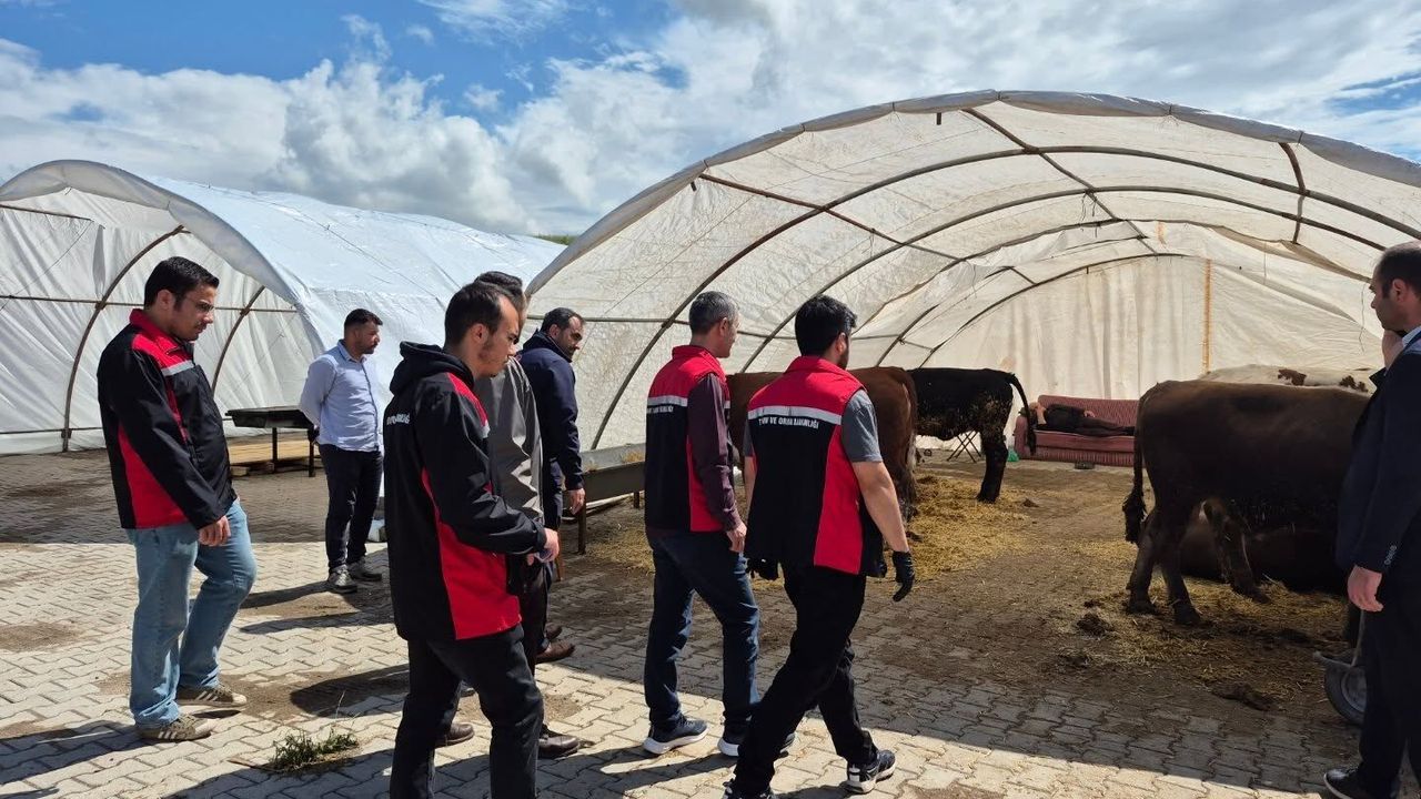 Yozgat'ta kurbanlık hayvanlara denetim yapıldı