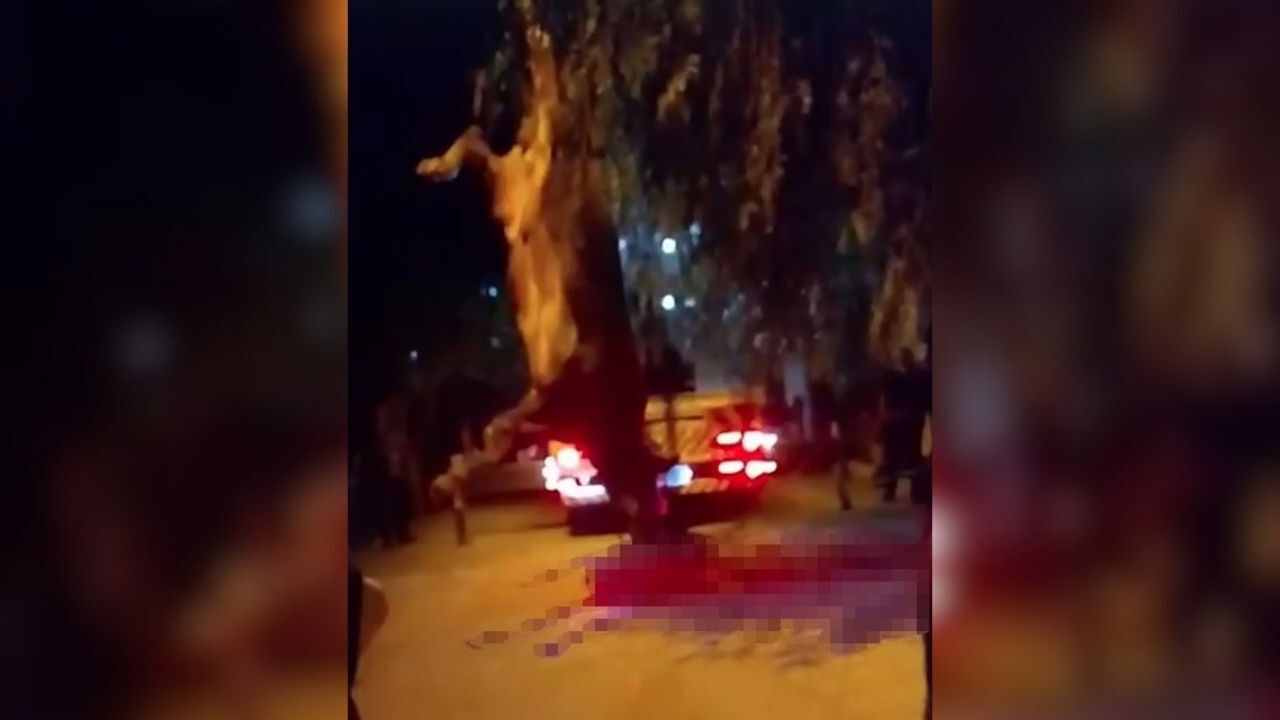 Dereye düşen kurbanlık dana vinç yardımıyla kurtarıldı
