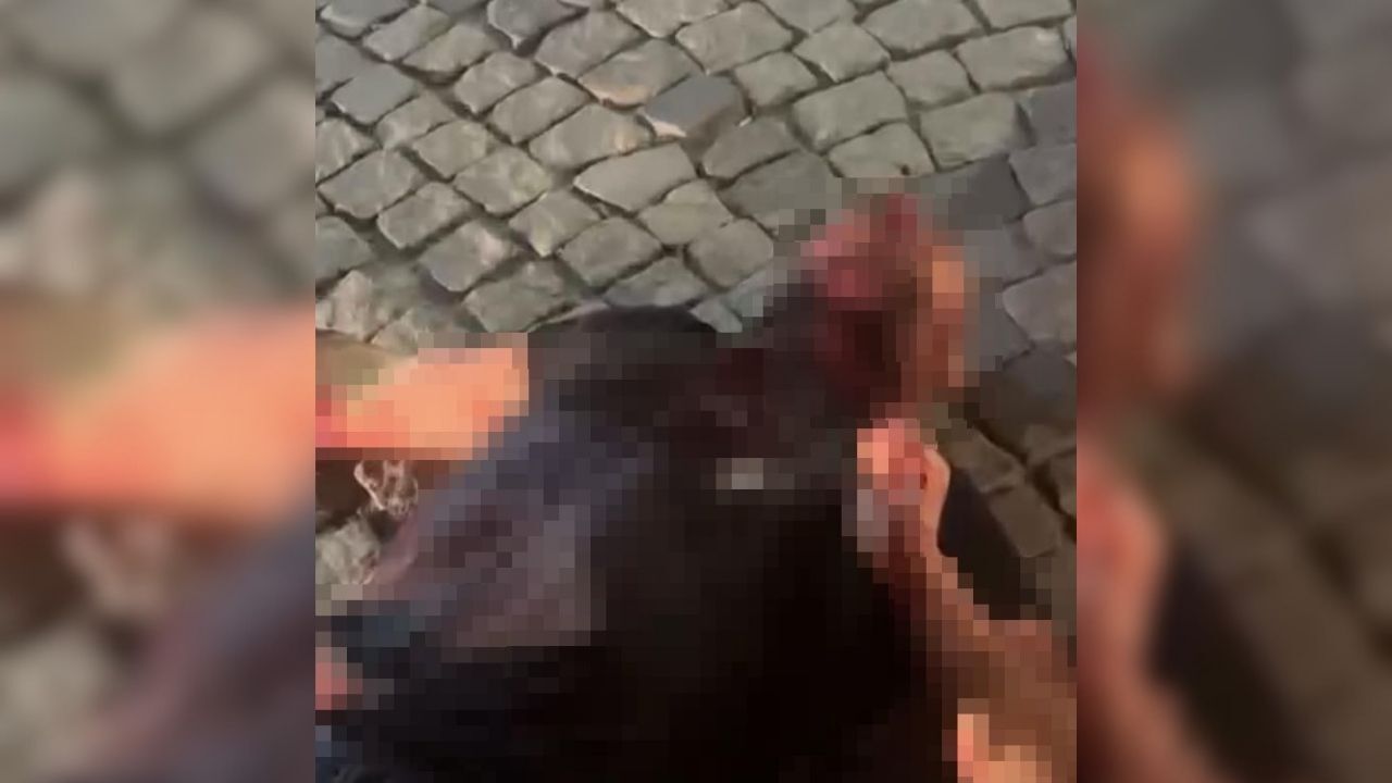 Kan donduran olay! Öldürüp kahvehanenin önüne bıraktı