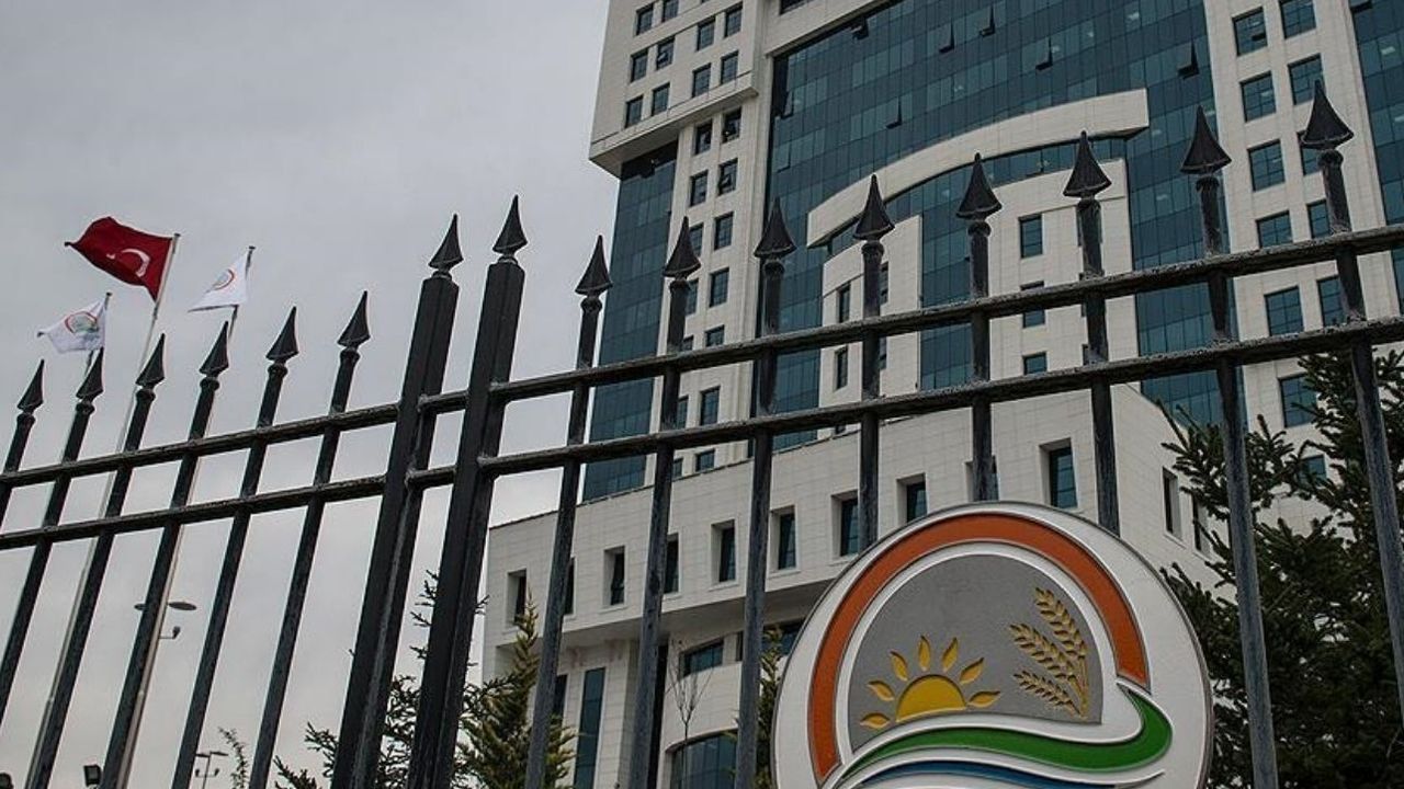 Tarım Bakanlığı’ndan büro memuru alımı: DKMP 3 ilde personel istihdam edecek