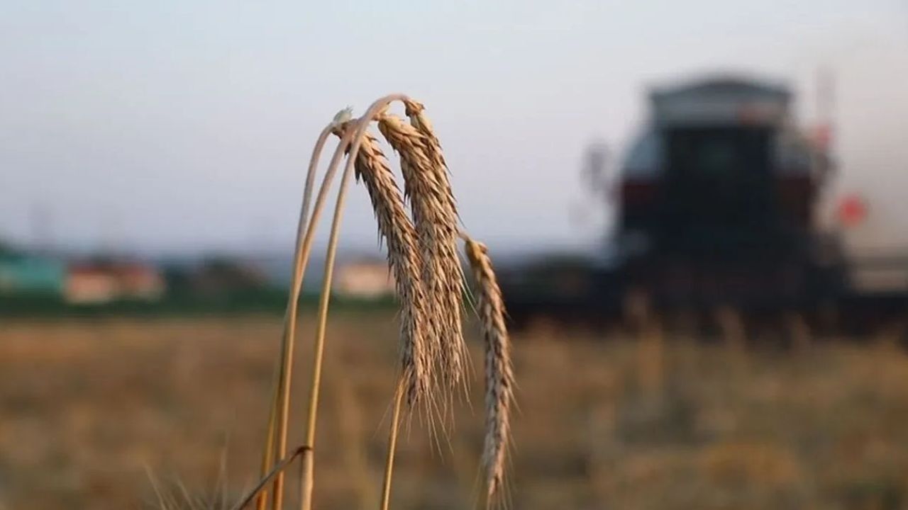 Köyüne dönene milyonluk destek verilecek