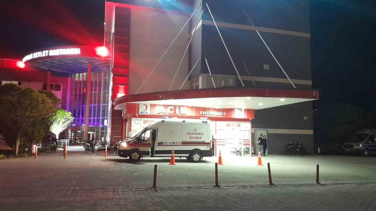 Otomobil yola çıkan köpeğe çarptı: 4 yaralı