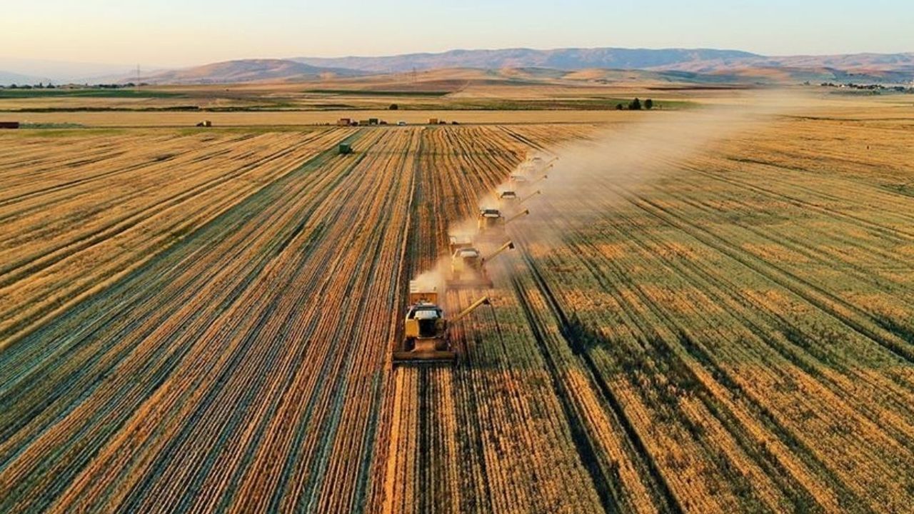 Arazi sahipleri dikkat: Elektrik ve su yasağı geldi