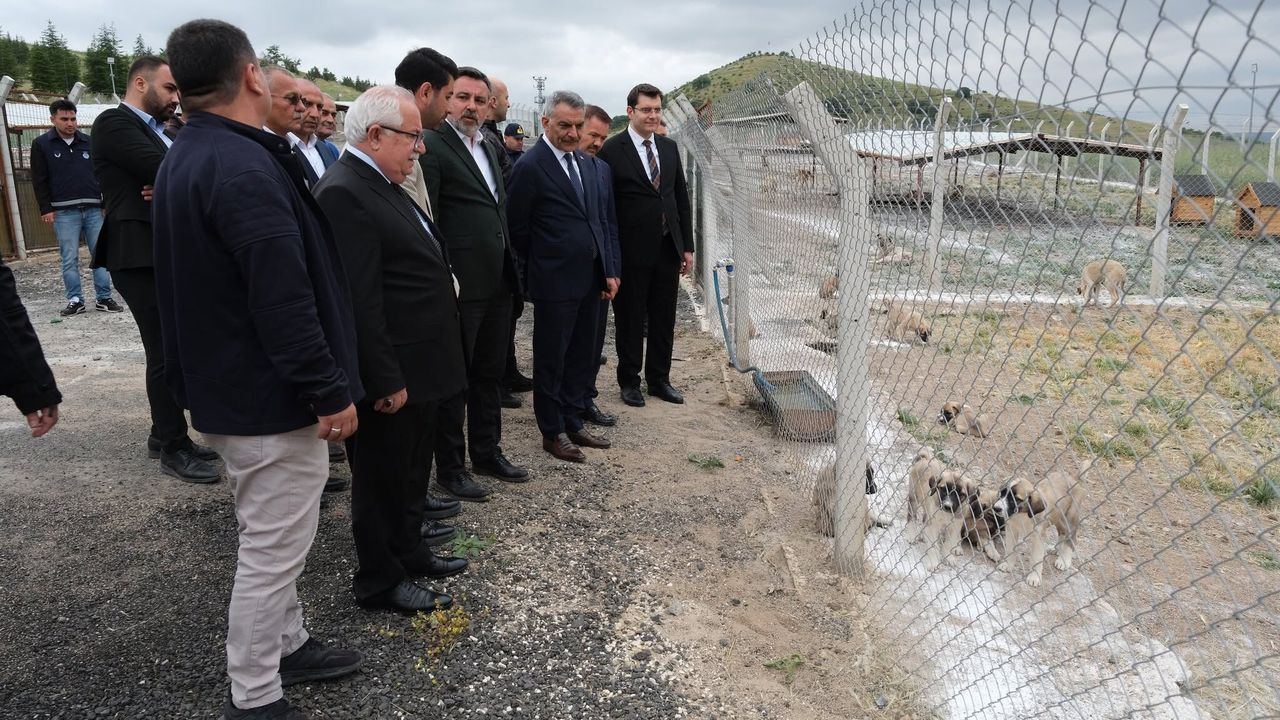 Vali Özkan Yerköy Hayvan Bakımevi’nde incelemelerde bulundu