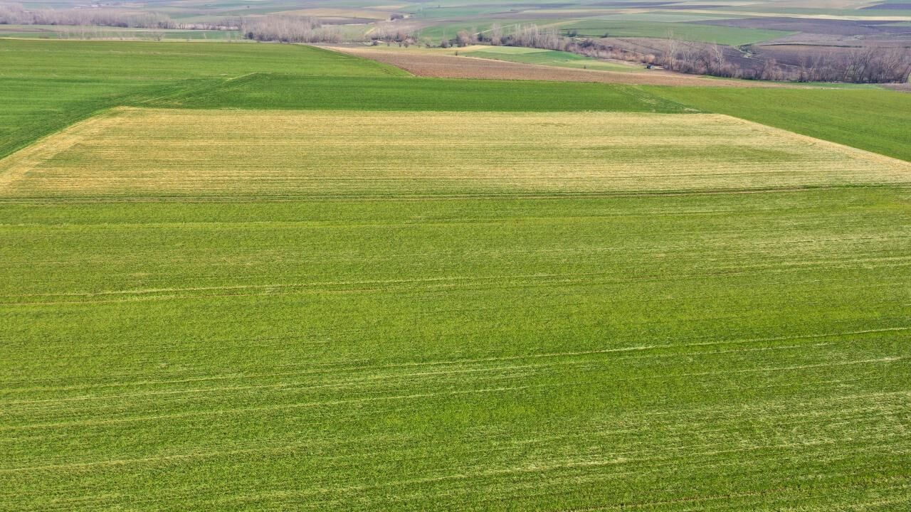 Yozgat'ta yeni çeşitler toprakla buluştu