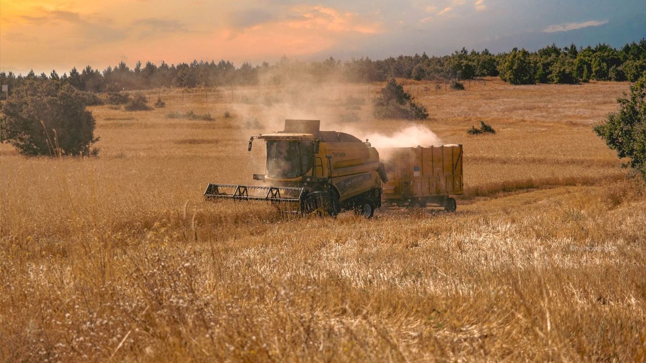 Yozgat'ta ilk arpa hasadı başladı