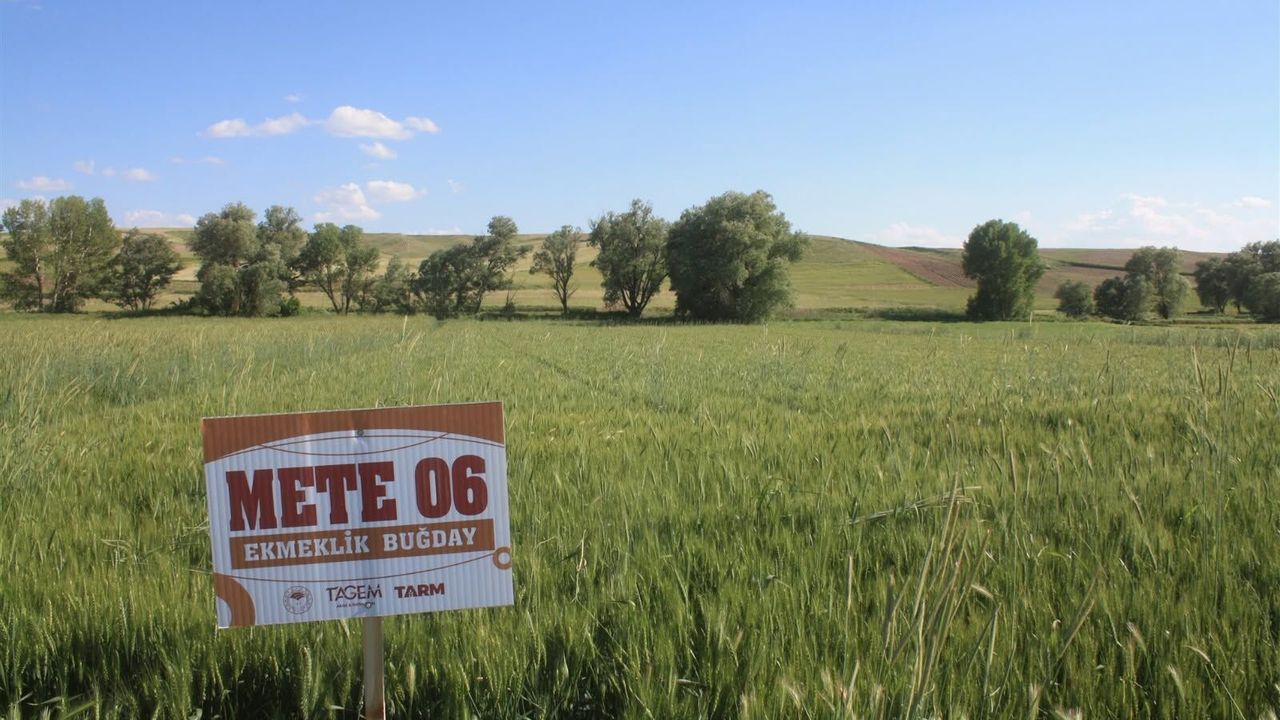 Yozgat'ta deneme ekimi yapıldı