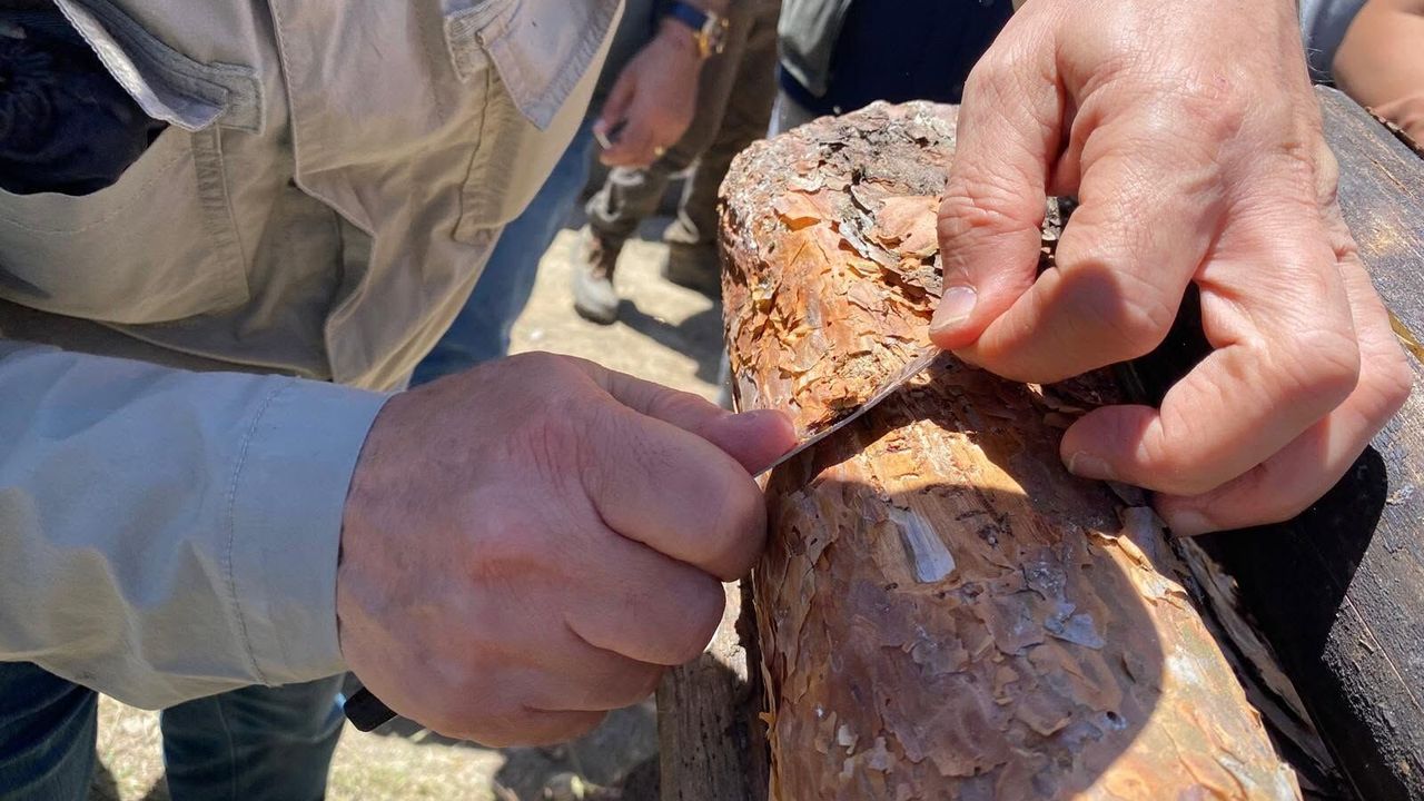 Akdağmadeni'nde orman zararlılarıyla mücadele eğitimi düzenlendi