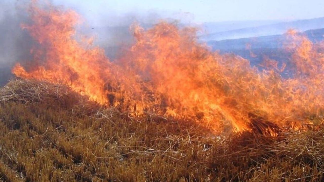 Yozgat'ta ateş yakan 2 kişiye para cezası