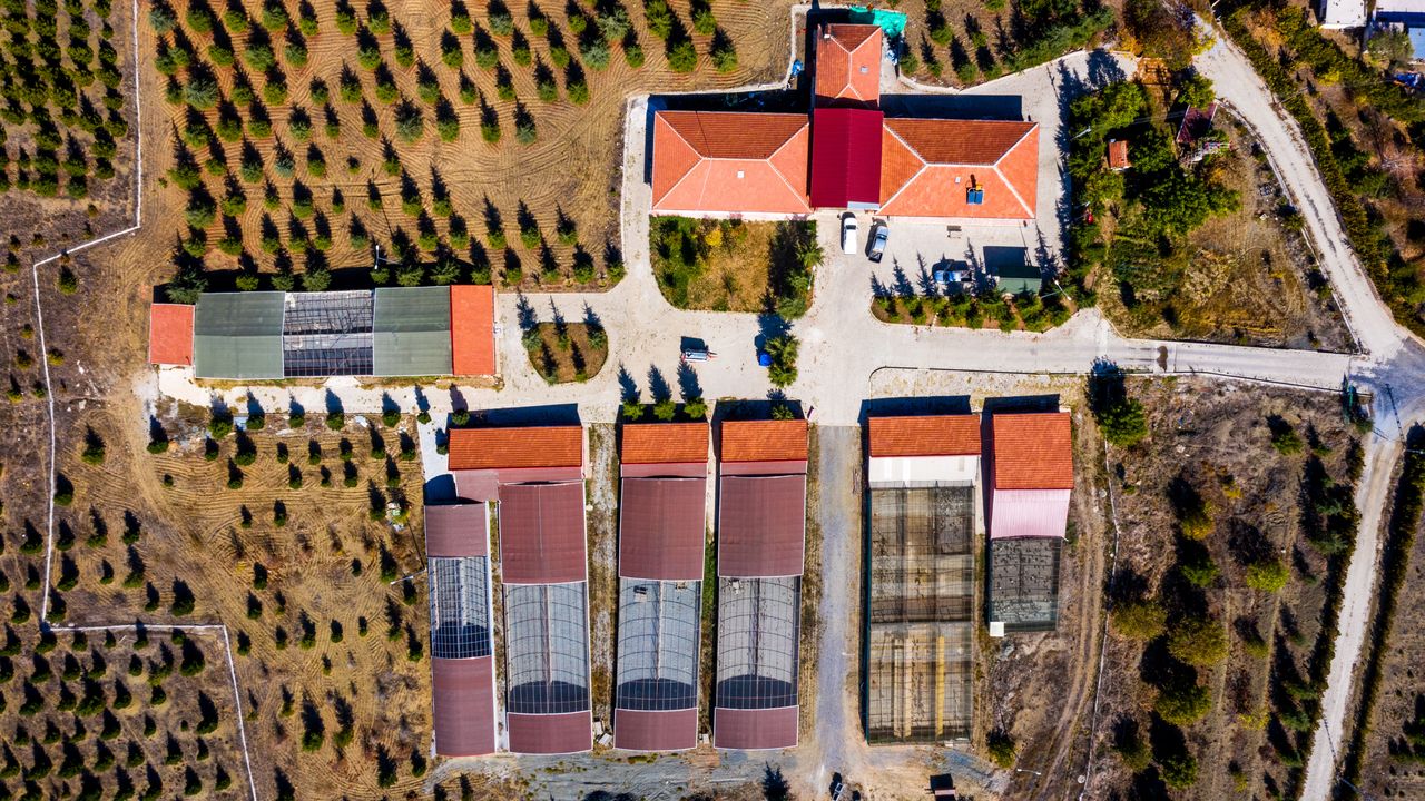 Yozgat'ta Çalatlı Yaban Hayvanı Üretim Merkezi için ihale