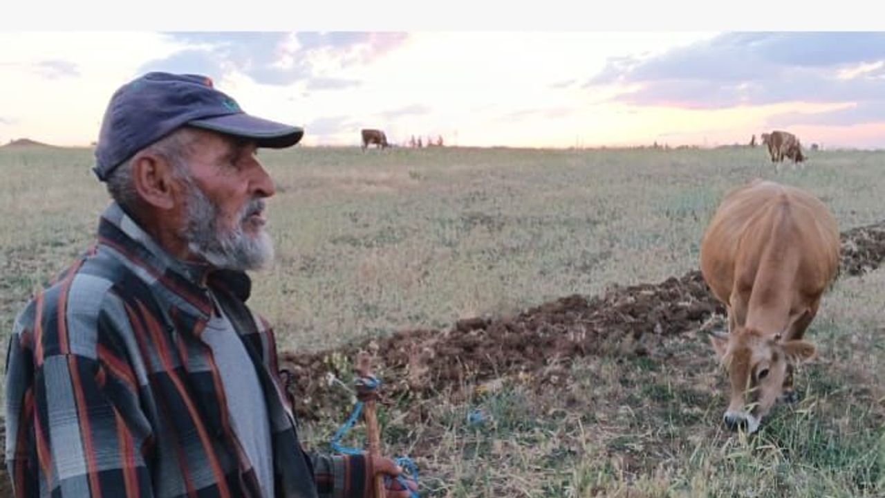Yozgat’ta 72 yaşındaki Ahmet Yılmaz’ın hafızası hayran bırakıyor
