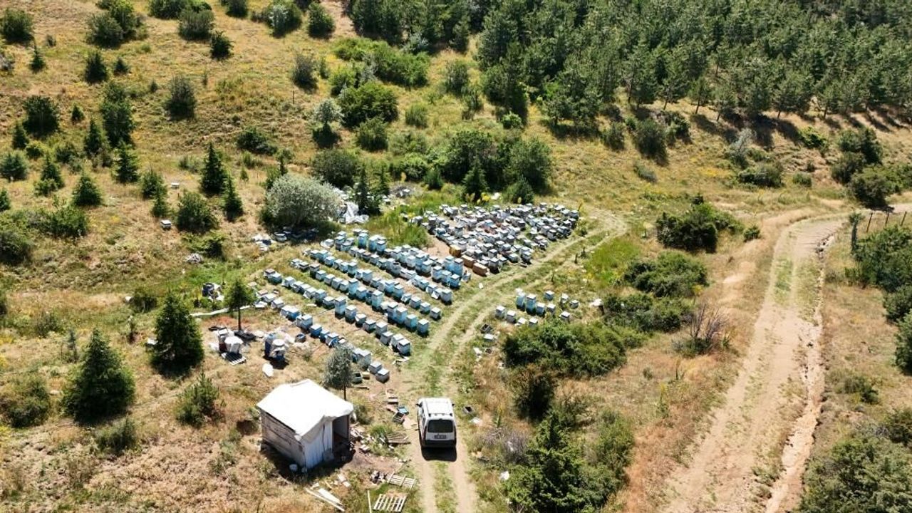 Yozgat arıcılara umut oldu