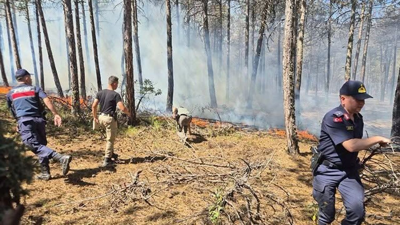 Yozgat'ta jandarma ekiplerinden yangına karşı uyarı
