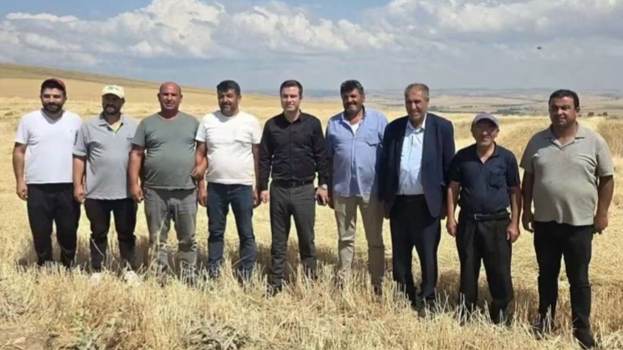 Sarıkaya hasat çalışmaları incelendi