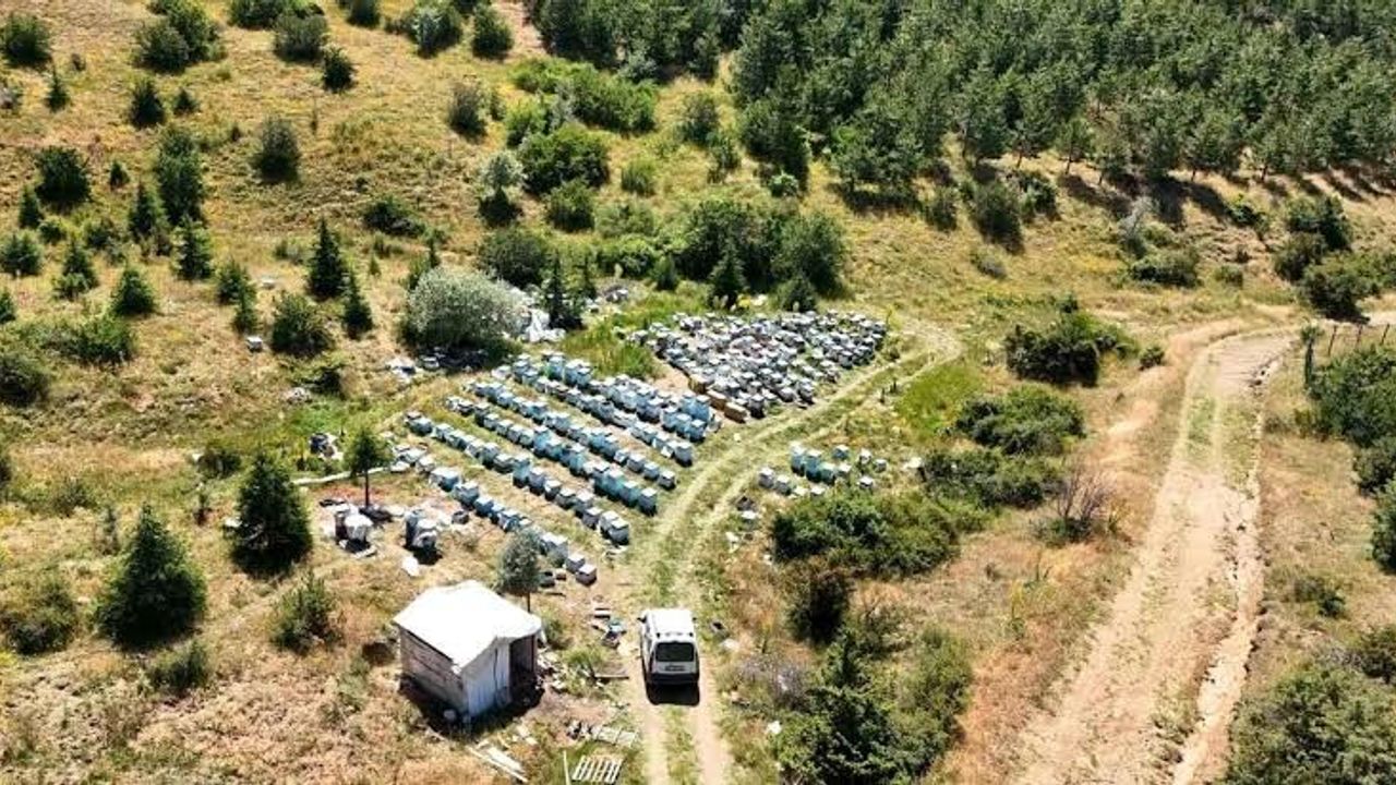 Sorgun'da balın bereketi yarışmayla taçlanacak