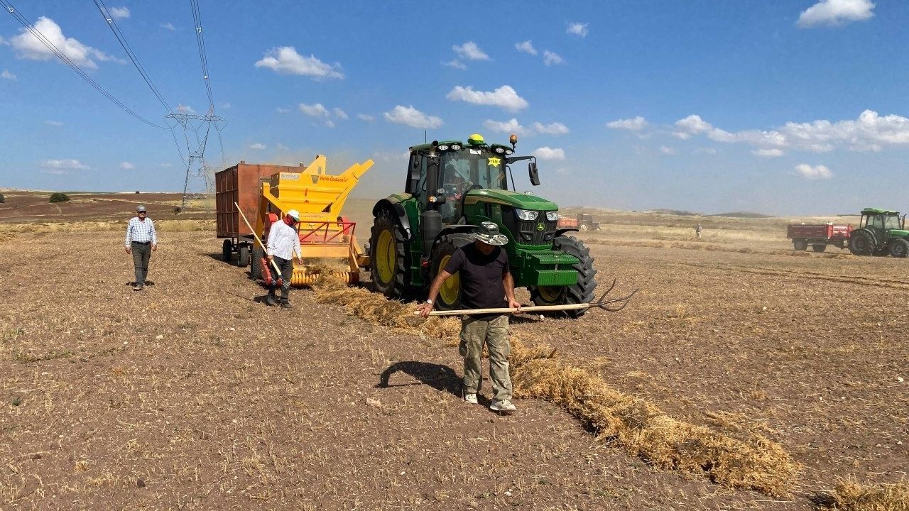 En kalitelisi Yozgat'ta yetişiyor! Üretici TMO'yu bekliyor