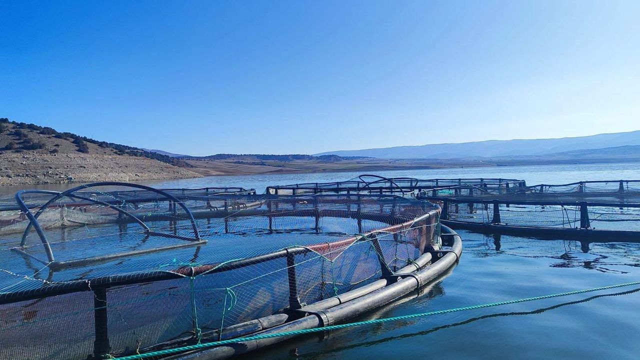 Yozgat’ta su ürünleri üretim kapasitesi 3 bin 277 tona ulaştı