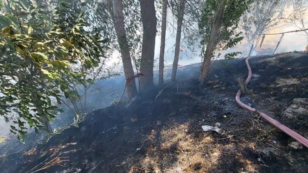 Yozgat'ta ot yangını: 2 dönüm arazi yandı