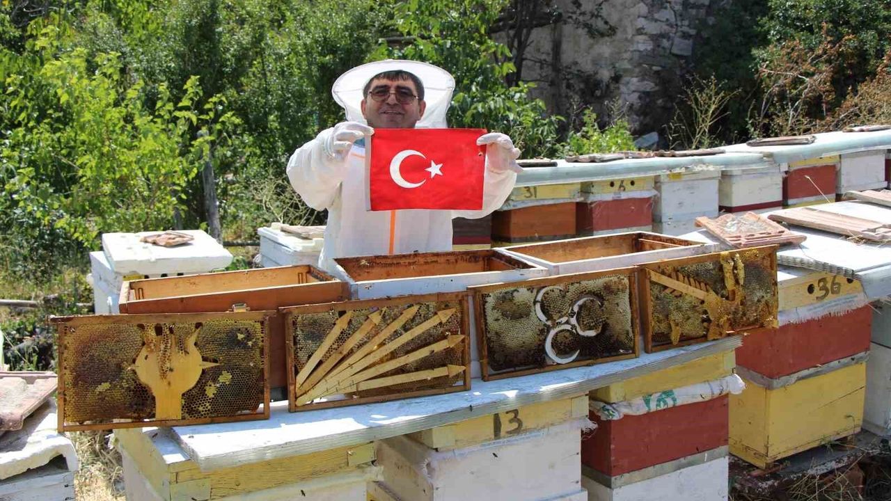 Arıların seçimi sonuçlandı