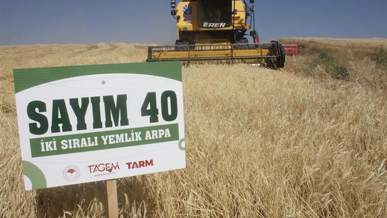 Yozgat’ta 15 arpa çeşidi denendi: Dekarda 760 kiloya kadar verim alındı