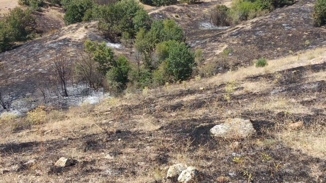 Yozgat'ta yangın korkuttu
