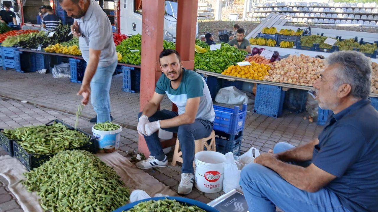 Yozgat'ta genç çiftçi bamya üretiminden memnun