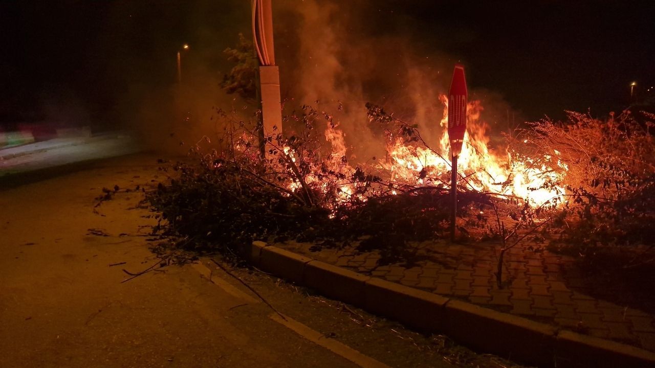 Alaca'da korkutan örtü yangını: İtfaiye alevleri yapılara sıçramadan söndürdü