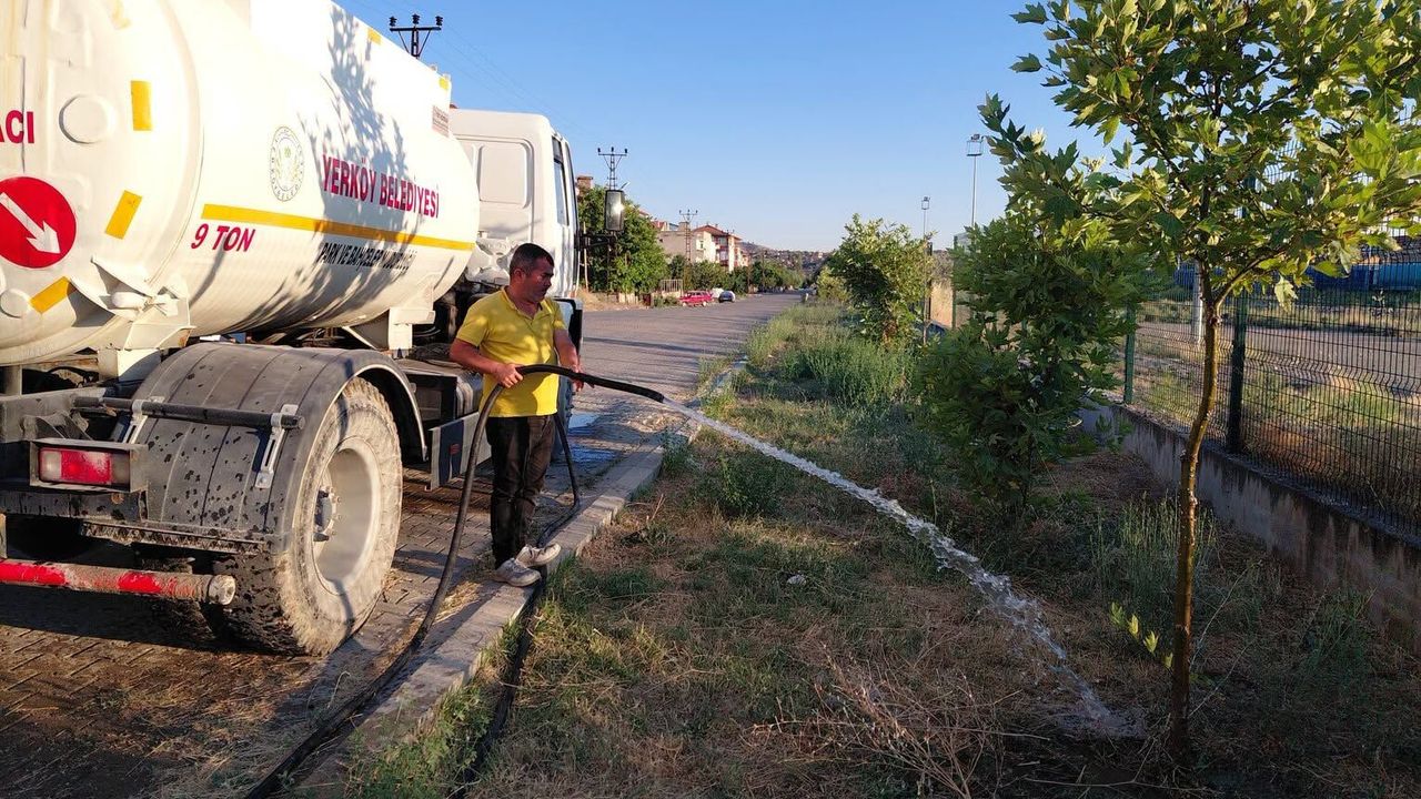 Yerköy’de ağaçların bakım ve sulama çalışmaları sürüyor