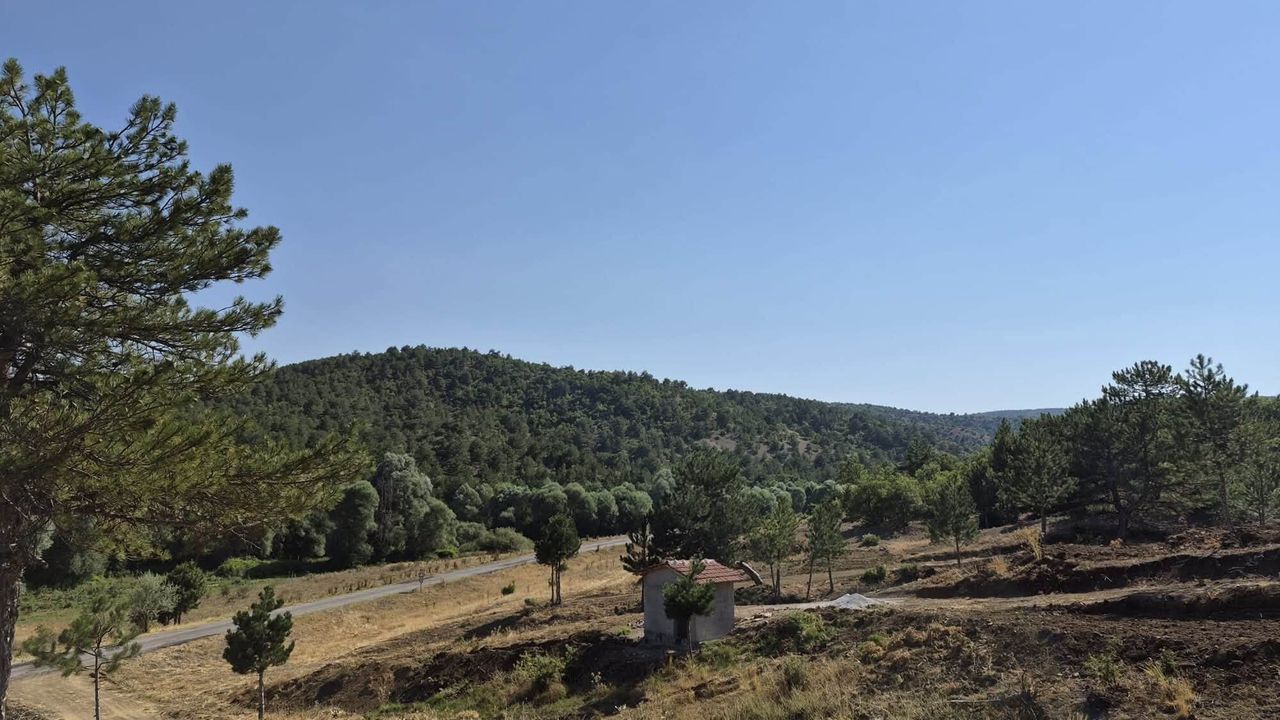 Yozgat'ta orman yangınlarına karşı önlem