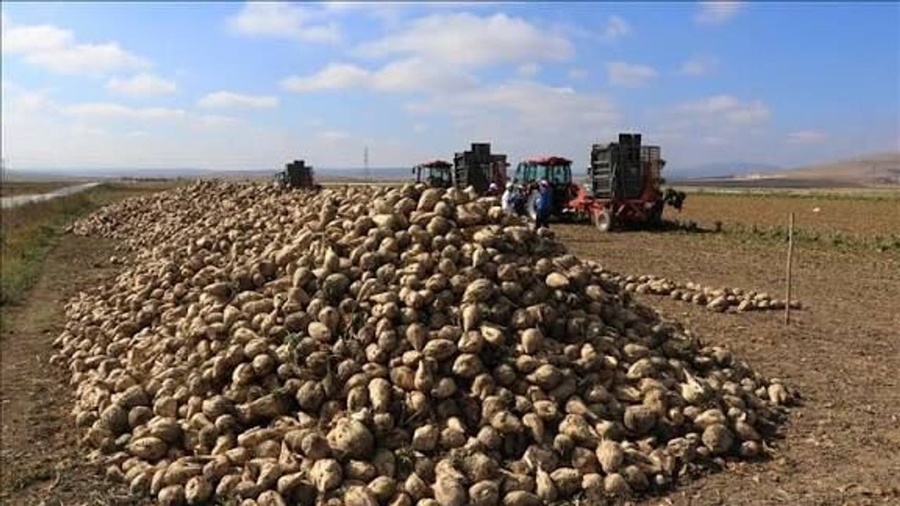 Kayseri Şeker'den çiftçiye 4 milyar avans