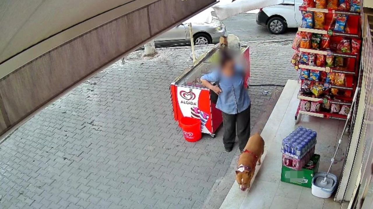 Pitbull saldırısı: 5 çocuk annesi kadının parmağı koptu