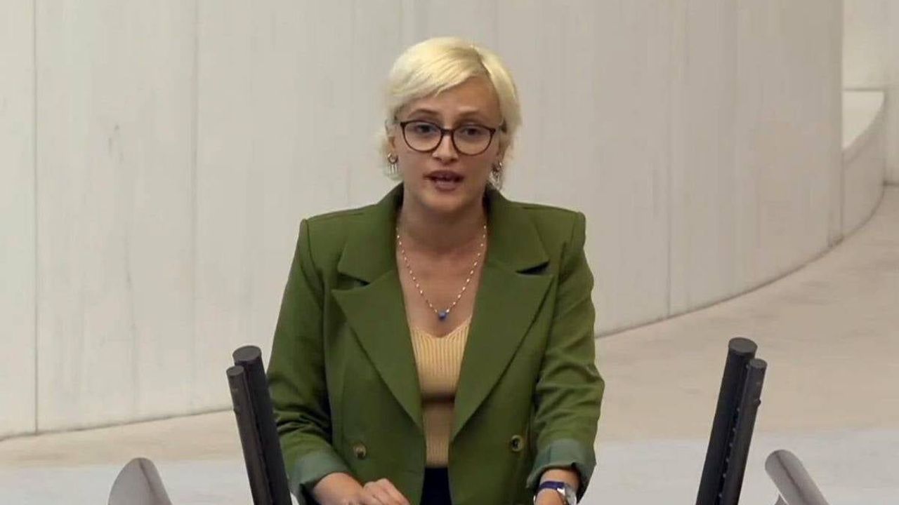 Perihan Koca kimdir? Perihan Koca'nın hayatı, KHK süreci, TÖP siyasi kariyeri ve parlamento çalışmaları neler?