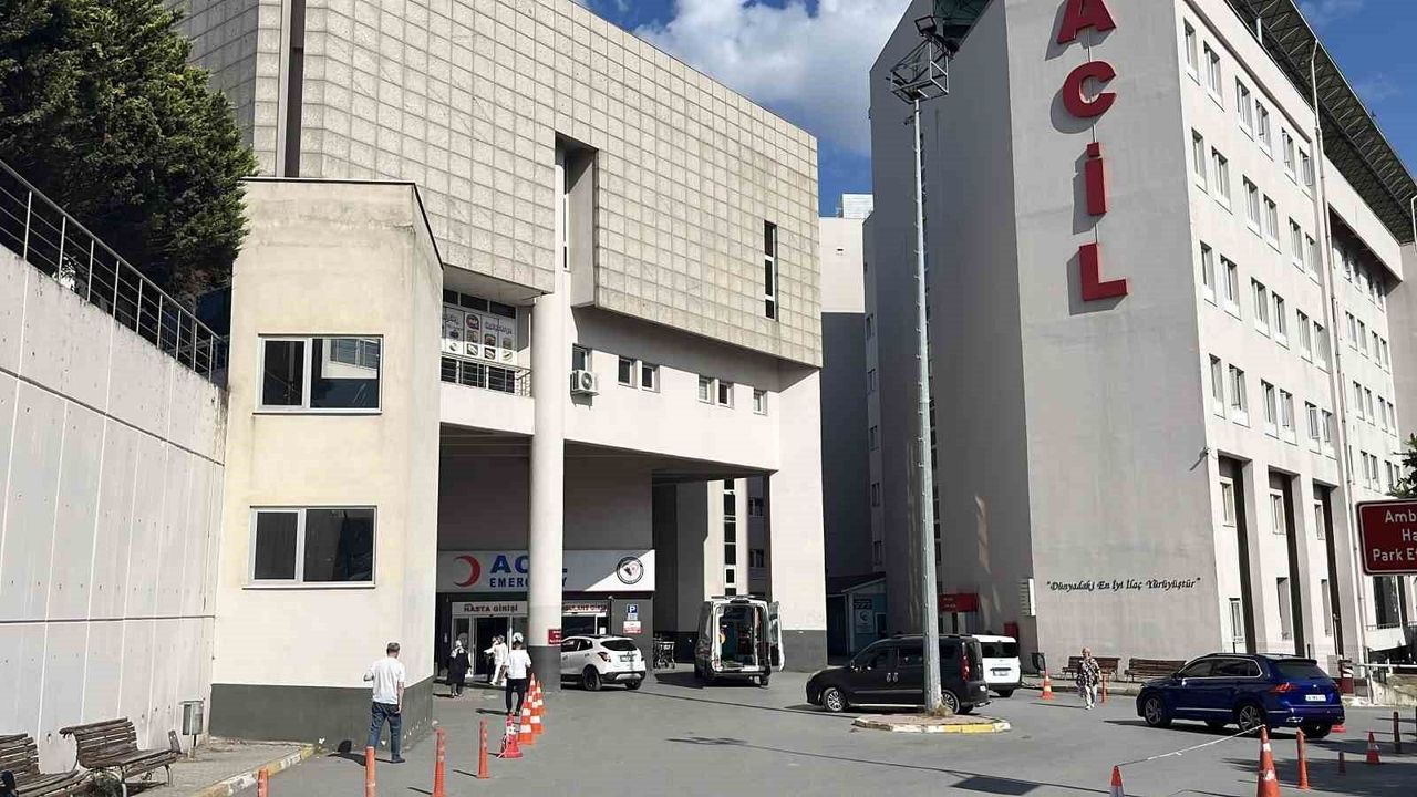 Piknikte Dehşet: Uzaklaştırma kararına rağmen eşine bıçaklı saldırı