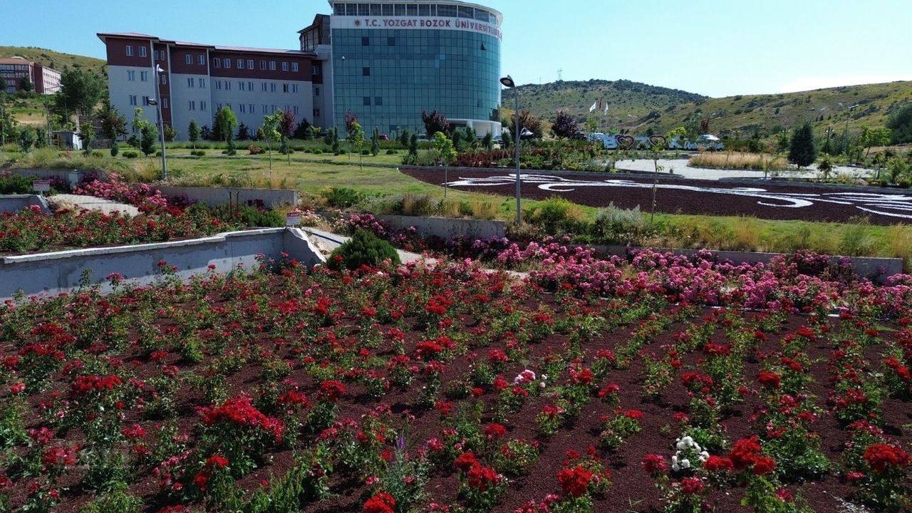 Yozgat Bozok Üniversitesi 84 kalem sarf malzeme alacak