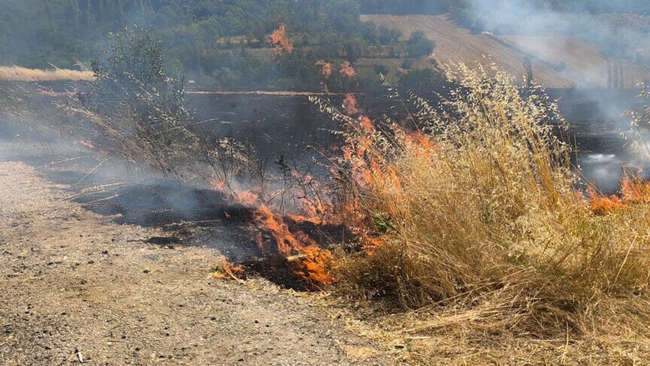 Yozgat'ta bin 500 dönüm arazi yandı