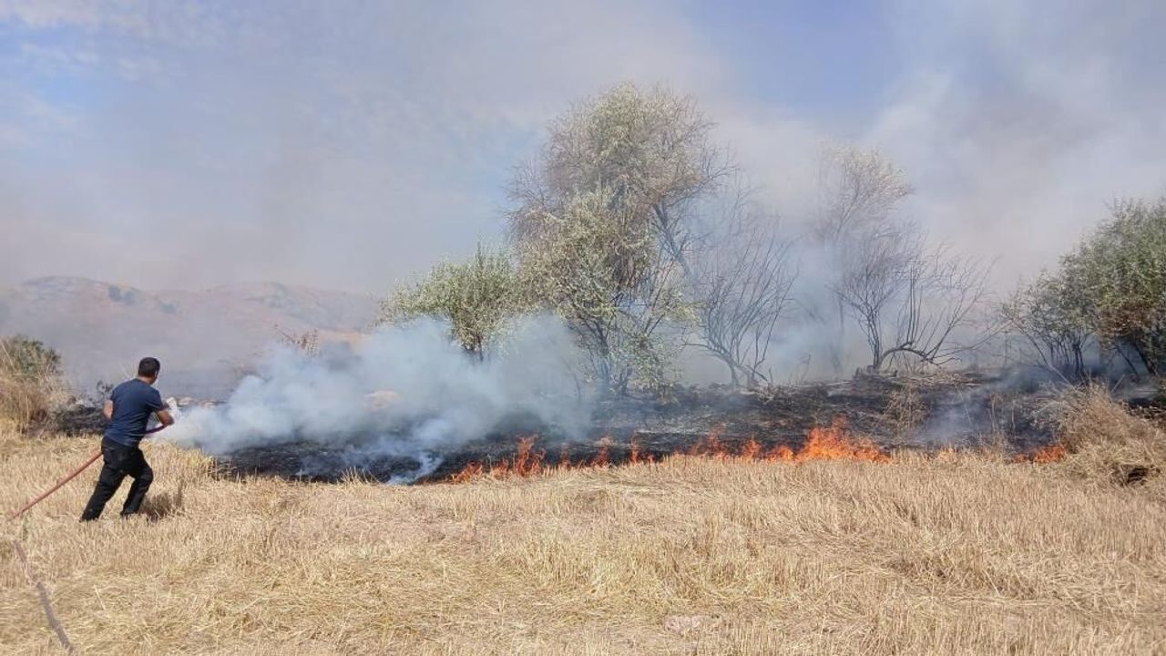Yozgat'ta 150 dönüm arazi kül oldu