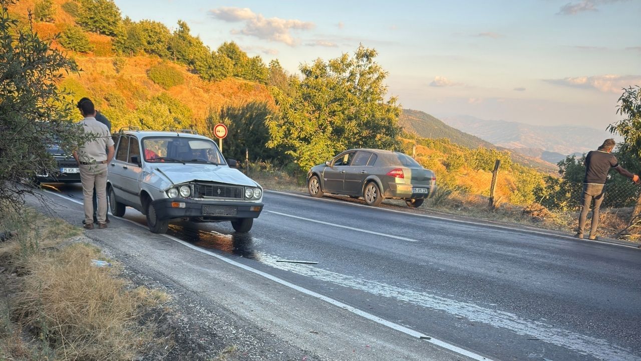 Yol kenarında bekliyordu! Otomobil çarptı, hayatını kaybetti