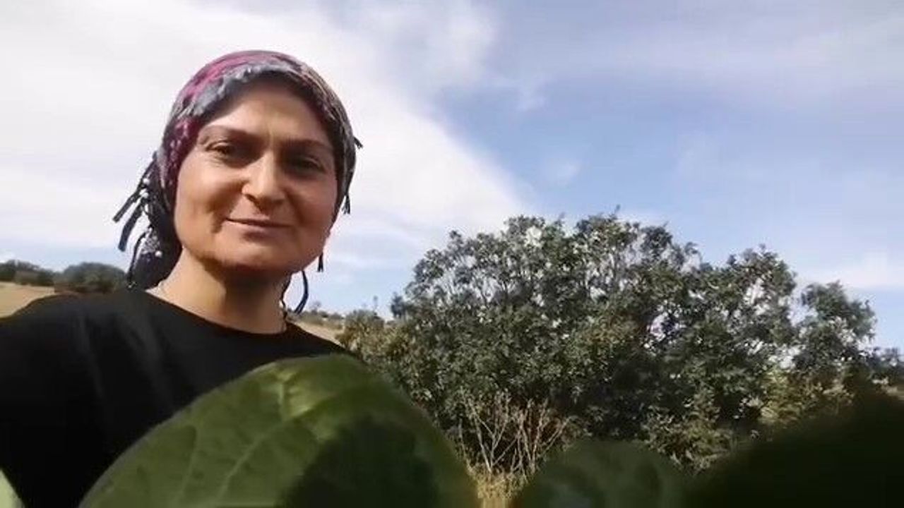 İkramdan memnun kalan tilki bir sonraki gece eşiyle birlikte geldi